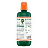 TheraBreath Fresh Breath Mouthwash Alcohol-Free - Rainforest Mint - 2 of 4