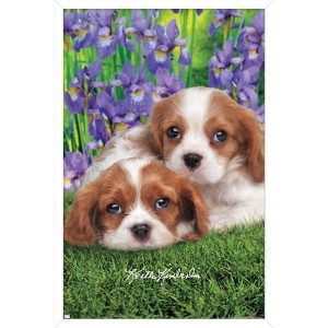 Trends International Keith Kimberlin - Cavalier King Charles Puppies Framed Wall Poster Prints - 1 of 4