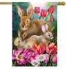 Briarwood Lane Spring House Flag 40x28 For Outdoor Bunny Family For Spring House Flag - 4 of 4