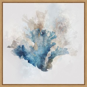 Amanti Art Blue Coral Reef II by Ken Roko Framed Canvas Wall Art - 1 of 4