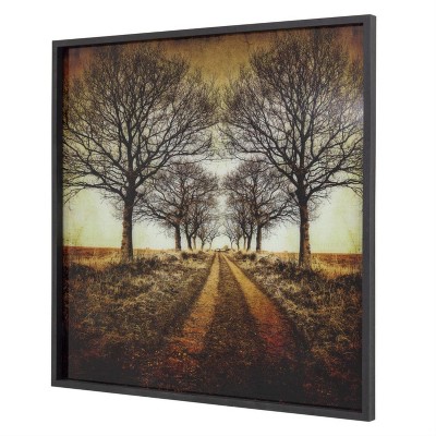 Yosemite Home Decor 'Distance' - Photo Printed on Tempered Glass, Framed