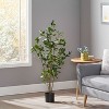 Okak 47IN Indoor Artificial Laurel Tree with Glossy Leaves and Slim Trunk, Pre-Potted Faux Trees with Pot, Plants Decor for Home, Office, Green - 2 of 4