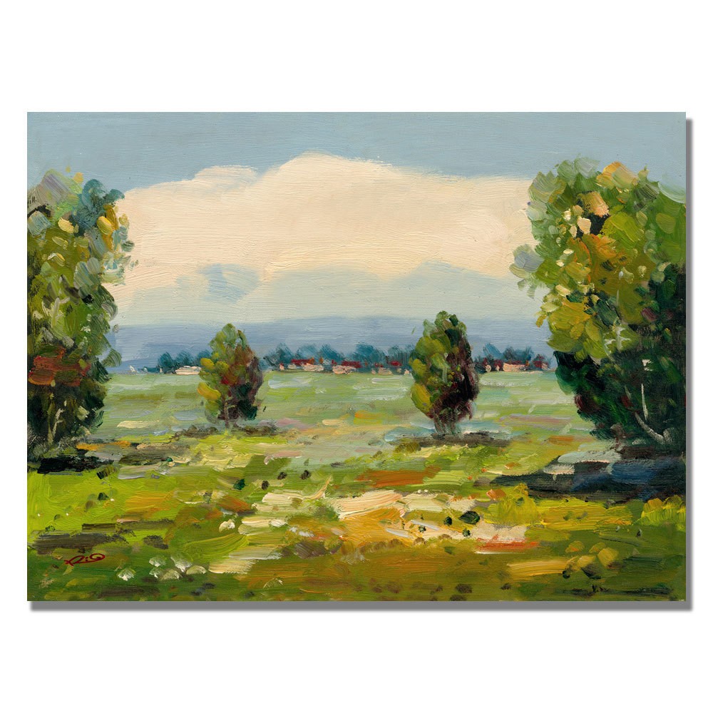 Trademark Fine Art 35 x 47 Rio 'A New Day III' Canvas Art was $139.99 now $111.99 (20.0% off)