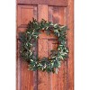 20" Artificial Olive Wreath - Nearly Natural - image 4 of 4