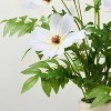 15"x17" Faux White Cosmos Floral Arrangement - Hearth & Hand™ with Magnolia - 3 of 3
