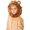 Seeing Red Cuddly Lion Child Costume, X-Small/Small - 3 of 3