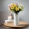 Sullivans Set of 2 Ceramic Vases 11.75"H & 8.5"H Off-White - 3 of 4