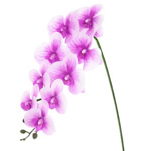 Unique Bargains Artificial Orchid Flowers Nine-headed Large Faux Phalaenopsis Silk Bouquets Real Touch 37 Inch - 1 of 4