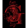 Boy's Harry Potter Gryffindor G Logo T-Shirt - 2 of 4