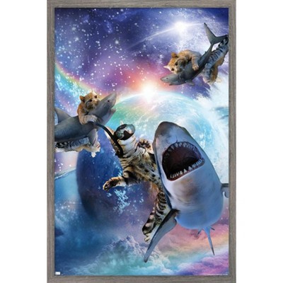 Trends International James Booker - Galaxy Cat Sharks Framed Wall Poster Prints
