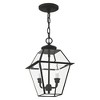 Livex Lighting Westover 2 - Light Pendant in  Black - 4 of 4