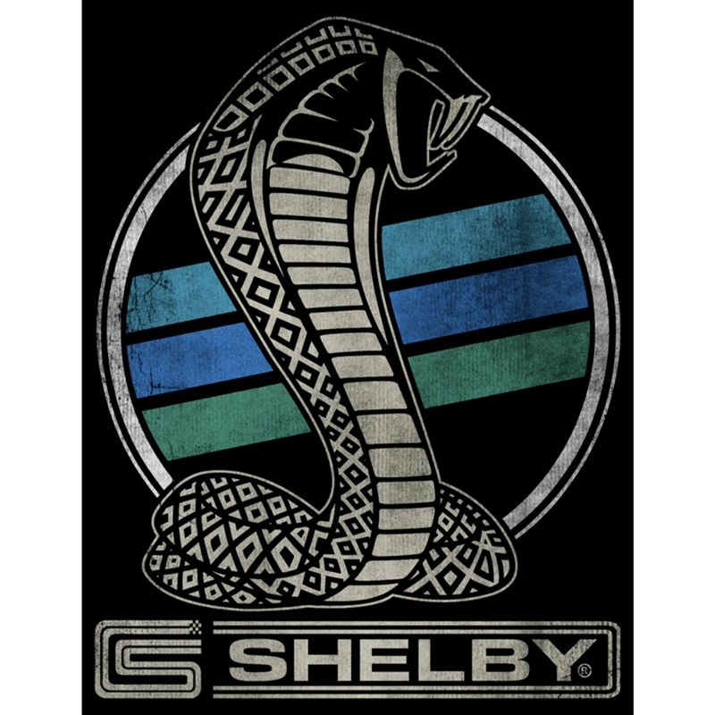 Boy's Shelby Cobra Distressed Blue and Green Striped Logo T-Shirt, 2 of 6