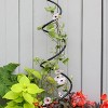 42" Tall Iron Soirak Trellis: Sturdy Support for Climbing Plants - Achla Designs - 4 of 4