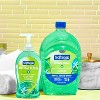 Softsoap Antibacterial Liquid Hand Soap Refill - Fresh Citrus - 50 fl oz - image 3 of 4