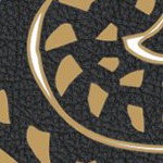 central florida golden knights