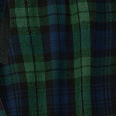 forest green/ team navy black watch plaid