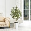 Artificial Olive Tree 5ft/6ft Tall Faux Indoor Plant - Realistic Green Leaves and Black Olives - Decorative Potted Tree for Living Room Home Office - 2 of 4