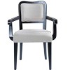Set of 2 Dining Chairs Velvet Upholstered Dinner Chairs Classic Armchairs Armless Chairs with Padded Seat - Modernluxe - 4 of 4