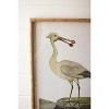 Wall Art, Framed Shorebirds Under Glass 24"H – Coastal Brown Wall Decor, Set of Two by Kalalou - 2 of 3