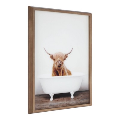 18" x 24" Blake Highland Cow in Tub Framed Printed Glass by Amy Peterson Gold - Kate and Laurel