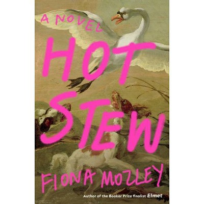 Hot Stew - by  Fiona Mozley (Hardcover)