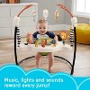 Fisher-Price Baby Bouncer Palm Paradise Jumperoo Activity Center - 2 of 4