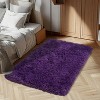 2x3 Fluffy Rug for Bedroom, Kids Room, Baby Room, Small Area Rug, Soft Rug - 4 of 4