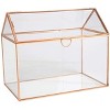 D'Eco Glass House Plant Terrarium (10"x6"x8") - Indoor Tabletop Gold Planter Terrarium - Home & Office Holiday Decor - Christmas Gift for Plant Lovers - 2 of 3