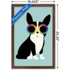 Trends International Andy Westface - Boston Terrier Work Hard Framed Wall Poster Prints - 3 of 4