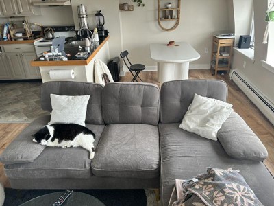 Guest review image 1 of 1, zoom in