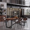 Rafner Iron with Mercury Glass Medium Pendant Ceiling Light Natural Black - Hunter Fan - 2 of 4