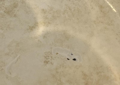 Guest review image 1 of 3, zoom in
