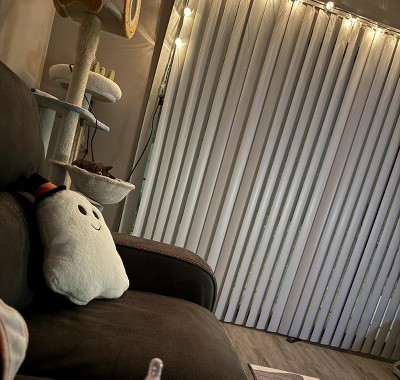 Guest review image 1 of 1, zoom in