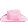 Zodaca Felt Cowgirl Hat For Women And Men, Costume Party Halloween Props &  Head Accessories, Red, 14.8 X 10.6 X 5.9 In : Target