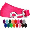 Country Brook Petz 6ft By 3/4 Inch Heavyduty Doublehandle Nylon Leash - 2 of 4
