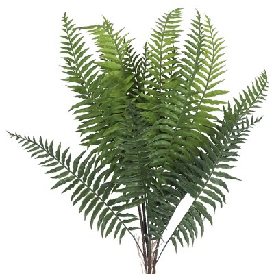 green_fern