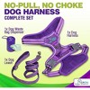 Gm Harness Leash Poo Bag Holder Set - 3 of 4