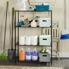 Delta 4 Tier Shelve - Black - Safavieh - 2 of 3