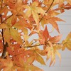 Nearly Natural 7-ft Autumn Maple Artificial Fall Tree, Orange - image 4 of 4