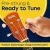 Hola! Music Color Series Soprano Ukelele Set for Beginners with Canvas Tote Bag, Strap with Hook, & Various Size Picks, Purple - 3 of 4