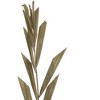Vickerman Natural Botanicals 27" Rahul Stick Natural 8 Stems/Bunch. Each rahul stick measures about 27 inches tall and 3.9 to 4.3 inches wide. It - 3 of 4