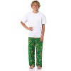Teenage Mutant Ninja Turtles Men's Tossed Print Sleep Pajama Pants For Adults - 2 of 4