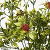 Vickerman 17" Artificial Pea Leaf Spray - image 2 of 4