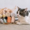Dexypaws: Cat 8-Piece Sisal & Feather Toy Set - Various Shapes & Textures - 3 of 4