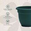 Bloem Ariana Round Resin Planter Pot Indoor and Outdoor Gardening - 4 of 4