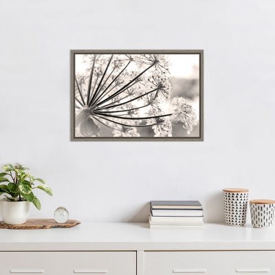 Floral Cow Parsnip Black and White Framed Canvas Print