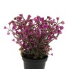 Unique Bargains Artificial Plants Bellflower Decorative Pot Plastic 2.76"x2.76"x6.69" 1 Pc - 4 of 4