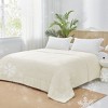 Shabby Chic Style Ultra Soft & Cooling Comforter, Lightweight & Cozy Anti-Clumping Designed Bed Blanket, OEKO-TEX Certified Bed Set for Hot Summer - 3 of 4