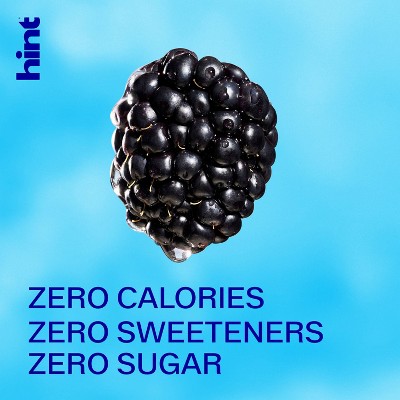 hint Blackberry Flavoured Still Water - 12 fl oz Can