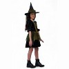 California Costumes Emerald City Witch Child Costume - 4 of 4
